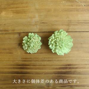 ハンドメイドフラワー 花材 即日出荷 ソーラー...の詳細画像3