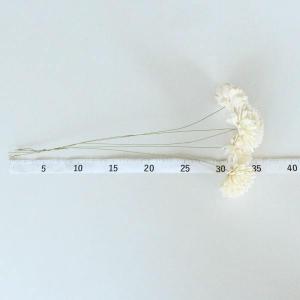 ハンドメイドフラワー 花材 即日出荷 ソーラー...の詳細画像2