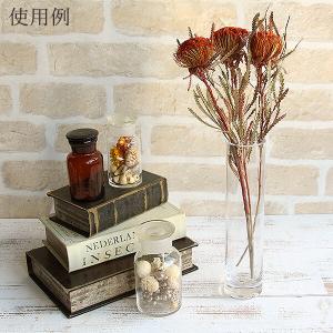 ドライフラワー 花材 即日出荷 フォルモッサ ...の詳細画像3