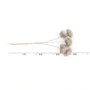 ハンドメイドフラワー 花材 即日出荷 ソーラー...の詳細画像2