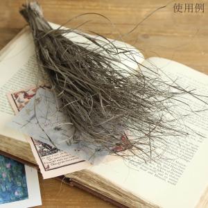 ドライフラワー 花材 即日出荷 カーリーグラス...の詳細画像4