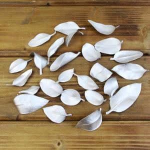 ドライフラワー 花材 即日出荷 ブルーマリーリー...の商品画像