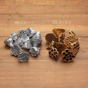 ドライフラワー 花材 即日出荷 ロータス(S) 花材 素材 材料 パーツ ハス ハスの実 蓮 金色 銀色 スワッグ リース アレンジ アレンジメント 装飾 東方貿易
