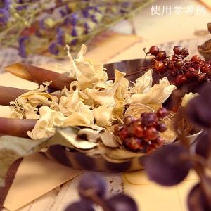 ドライフラワー 花材 即日出荷 特価 カーリー...の詳細画像1