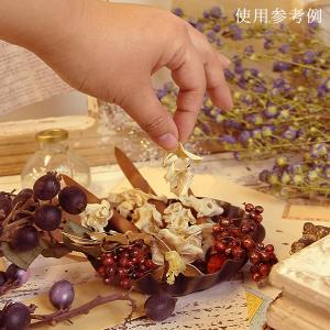 ドライフラワー 花材 即日出荷 特価 カーリー...の詳細画像3