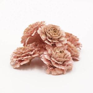 ドライフラワー 花材 即日出荷 シダーローズ ライトピンク 実 ドライフラワー スワッグ ブーケ ドライフラワー花束 ドライフラワースワッグ 花材 東方貿易