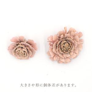 ドライフラワー 花材 即日出荷 シダーローズ ...の詳細画像3