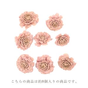 ドライフラワー 花材 即日出荷 シダーローズ ...の詳細画像4