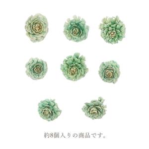 ドライフラワー 花材 即日出荷 シダーローズ ...の詳細画像3