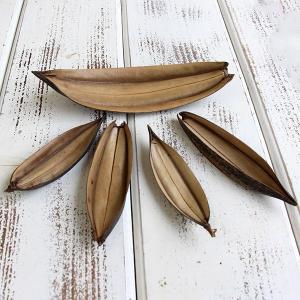 ドライフラワー 花材 即日出荷 ミニボート ナチ...の商品画像