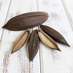 ドライフラワー 花材 即日出荷 ミニボート ナ...の詳細画像1