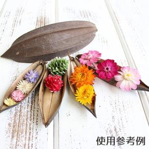ドライフラワー 花材 即日出荷 ミニボート ナ...の詳細画像2