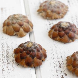 ドライフラワー 花材 即日出荷 コンパクタヘッ...の詳細画像3