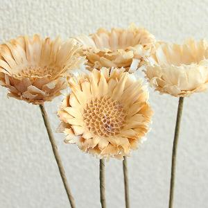 ドライフラワー 花材 即日出荷 期間限定特価 ...の詳細画像1