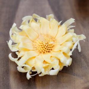 ドライフラワー 花材 即日出荷 ミニコンパクタ...の詳細画像1