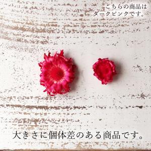 ドライフラワー 花材 即日出荷 ミニコンパクタ...の詳細画像2