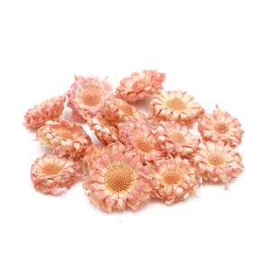 ドライフラワー 花材 即日出荷 期間限定特価 ミ...の商品画像