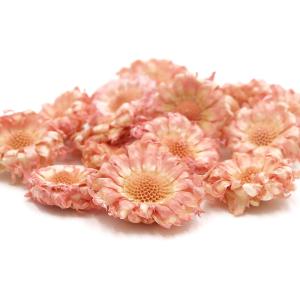ドライフラワー 花材 即日出荷 期間限定特価 ...の詳細画像1