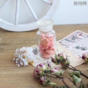 ドライフラワー 花材 即日出荷 期間限定特価 ...の詳細画像4