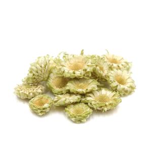 ハンドメイドフラワー 花材 即日出荷 ソラフラワー手作りキット ソラ