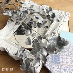 ドライフラワー 花材 即日出荷 ユーカリ シル...の詳細画像5