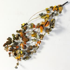 ドライフラワー 花材 即日出荷 グレビレア・ゴールド ワイルド