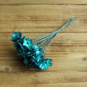 P5倍中 12/02 09:59迄】 ドライフラワー 花材 即日出荷 サルフレア