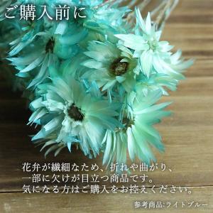 ドライフラワー 花材 即日出荷 エバーラスティ...の詳細画像3