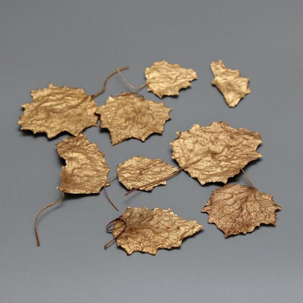 ドライフラワー 花材 即日出荷 ポプラミニ ゴールド 花材 素材 材料 パーツ 葉 リーフ 金色 ク...