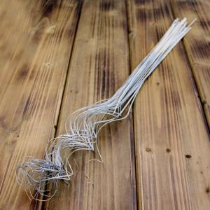 ドライフラワー 花材 即日出荷 カーリーティンティン グレイウォッシュ 枝 ドライフラワー プリザーブドフラワー スワッグ ブーケ 花束 リース 東方貿易