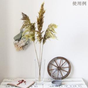 ドライフラワー 花材 即日出荷 特価 フェザー...の詳細画像4