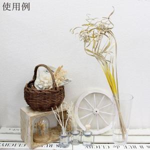 ドライフラワー 花材 即日出荷 パームカーリー...の詳細画像3