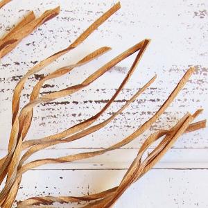 ドライフラワー 花材 即日出荷 ココツイスト ...の詳細画像2