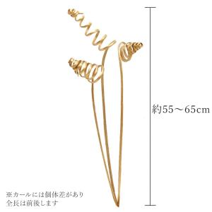 ドライフラワー 花材 即日出荷 カーリーケーン...の詳細画像2