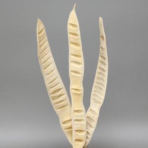 ドライフラワー 花材 即日出荷 ステップフルーツ 花材 素材 材料 パーツ 豆 サヤ 白 大きい ドライフラワー スワッグ ブーケ ドライフラワー花束 東方貿易