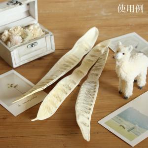 ドライフラワー 花材 即日出荷 ステップフルー...の詳細画像4