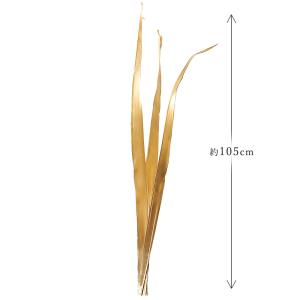 ドライフラワー 花材 即日出荷 ココリーフ ゴ...の詳細画像2