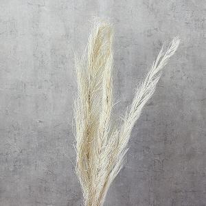 ドライフラワー 花材 即日出荷 特価 フェニックス ホワイト(在庫限り) ドライフラワー スワッグ ブーケ ドライフラワー花束 リース アレンジ 花材 東方貿易