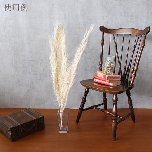 ドライフラワー 花材 即日出荷 特価 フェニッ...の詳細画像4