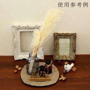 ドライフラワー 花材 即日出荷 特価 ほうき草...の詳細画像4