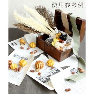ドライフラワー 花材 即日出荷 特価 ほうき草...の詳細画像5