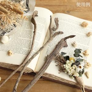ドライフラワー 花材 即日出荷 インド石化S ...の詳細画像4