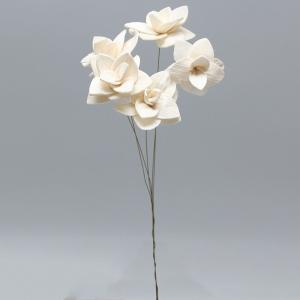 ドライフラワー 花材 即日出荷 リペンス・ロゼッタ オフホワイト