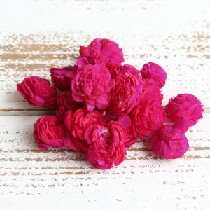 ハンドメイドフラワー 花材 即日出荷 ソーラーローズミニ・ヘッド フレンチピンク ドライフラワー ソーラー ハンドメイドフラワー 花 花材 素材 東方貿易