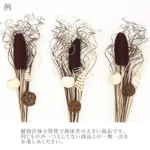 ドライフラワー 花材 即日出荷 カーリーティン...の詳細画像3