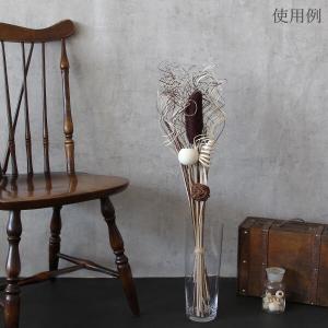ドライフラワー 花材 即日出荷 カーリーティン...の詳細画像4
