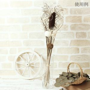 ドライフラワー 花材 即日出荷 カーリーティン...の詳細画像5