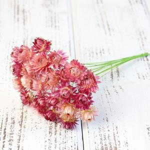 ドライフラワー 花材 即日出荷 ヘリクリサムワイ...の商品画像