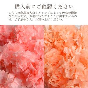 プリザーブドフラワー 花材 即日出荷 ソフトあ...の詳細画像3