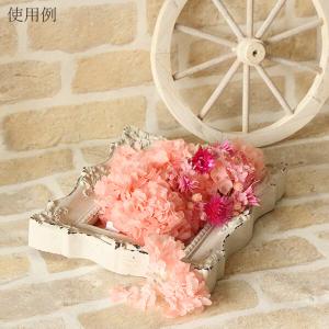 プリザーブドフラワー 花材 即日出荷 ソフトあ...の詳細画像4